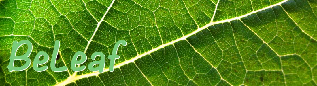 BeLeaf